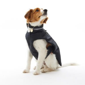 BUSTER Dog Coats 1