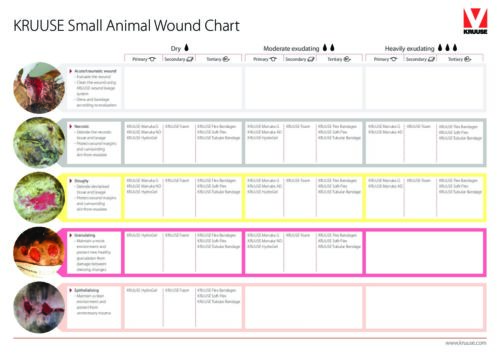 KRUUSE_Wound_Chart_Small_Animal_A4 3