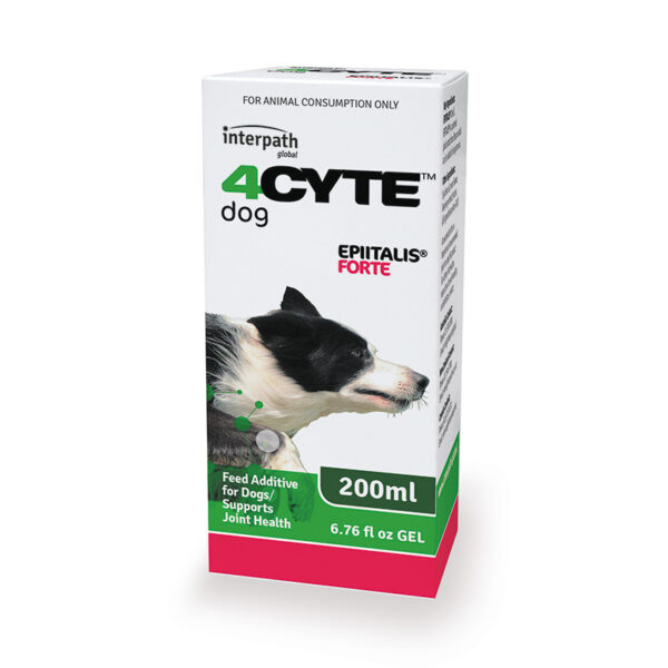 4CYTE Epiitalis FORTE for Dogs 1