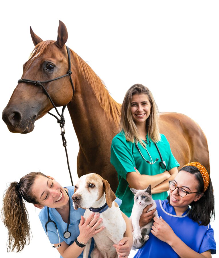 Provet Veterinary Nurse & Technician Champion Awards 2026 1