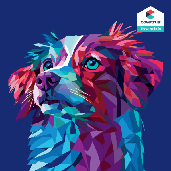 Welcome to Provet Australia 1