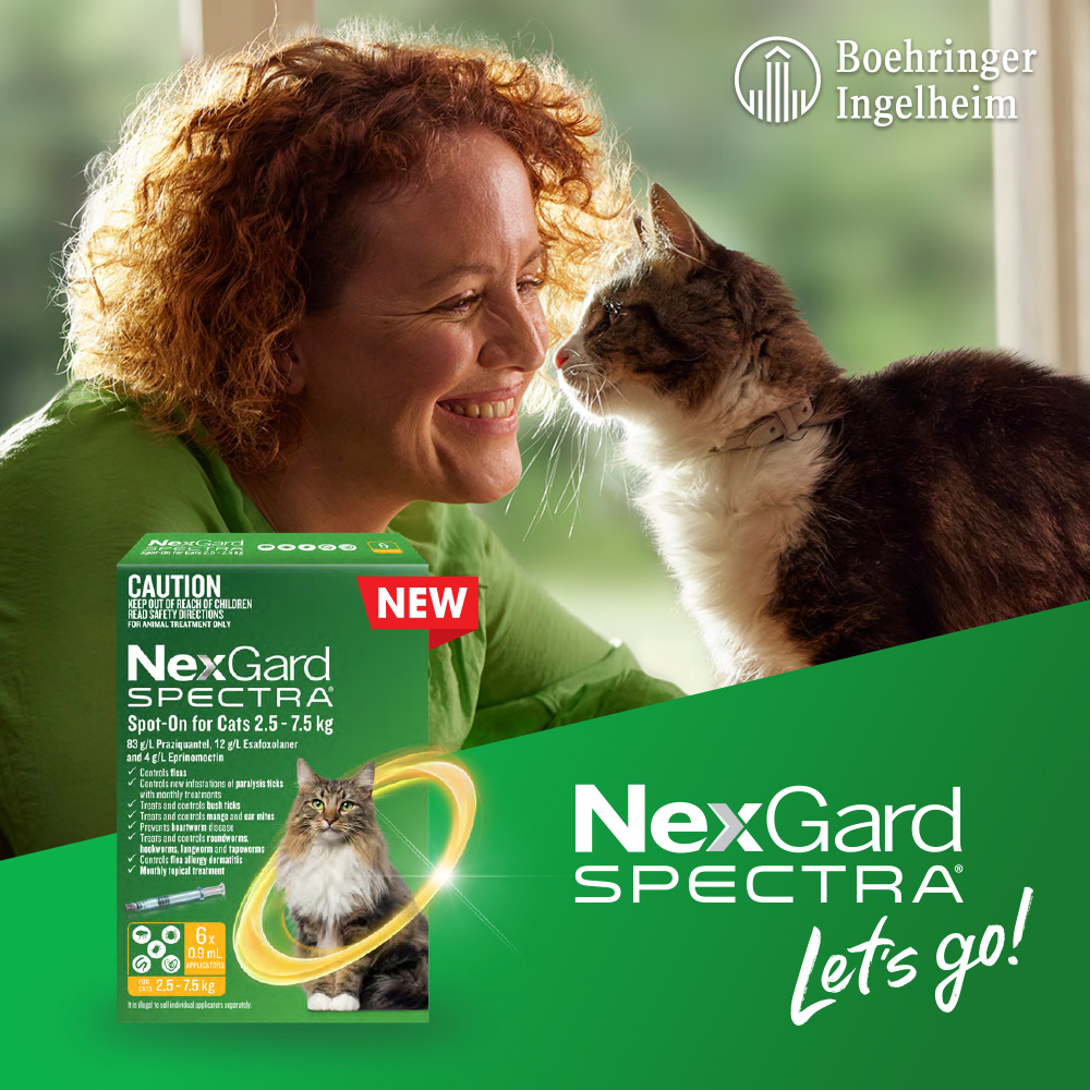 nexgard-spectra-for-cats-offer-provet-australia