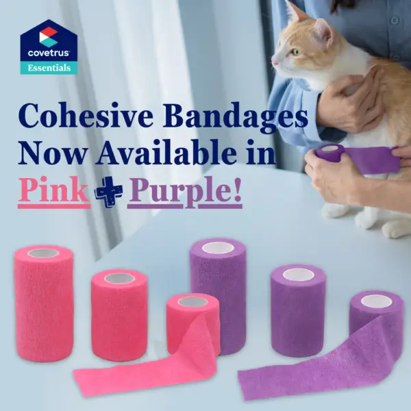 CVET Pink & Purple Cohesive Bandages