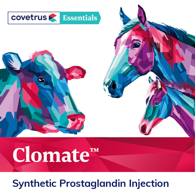 Covetrus Essentials Provet Australia