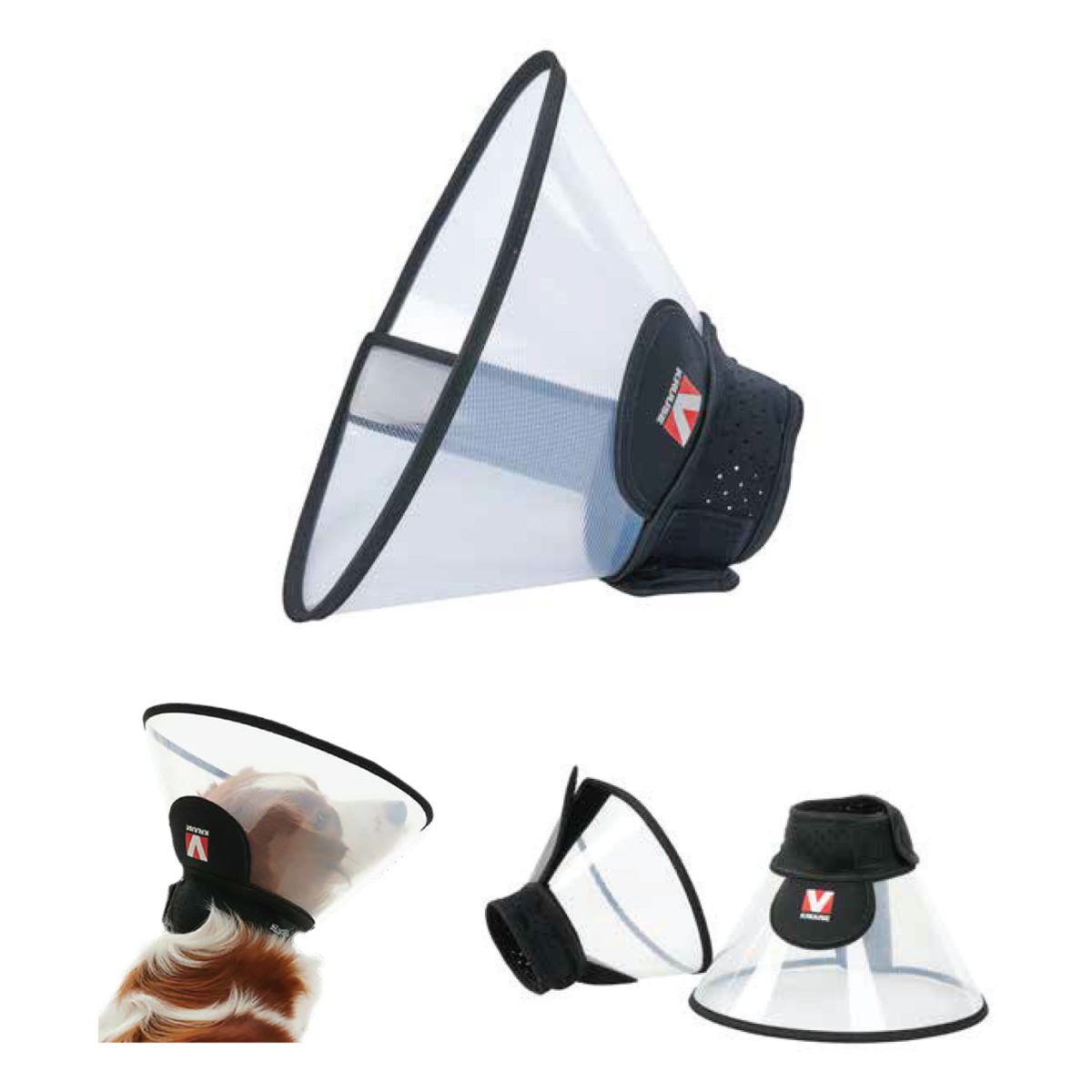 BUSTER Complete Collar Provet Australia