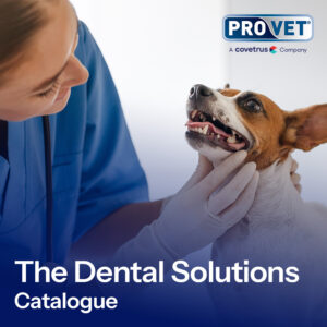 Dental Solutions Catalogue 2025 1