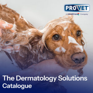 The Dermatology Solutions Catalogue 2025 1