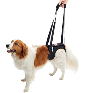 KRUUSE Rehab Lifting Harness for Front & Hind Legs 1