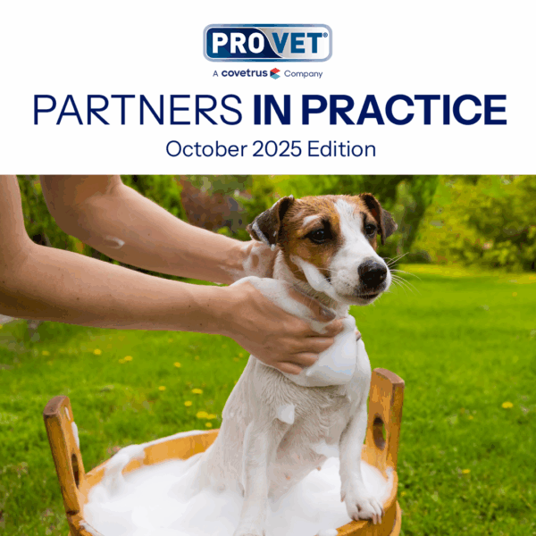 Welcome to Provet Australia 6