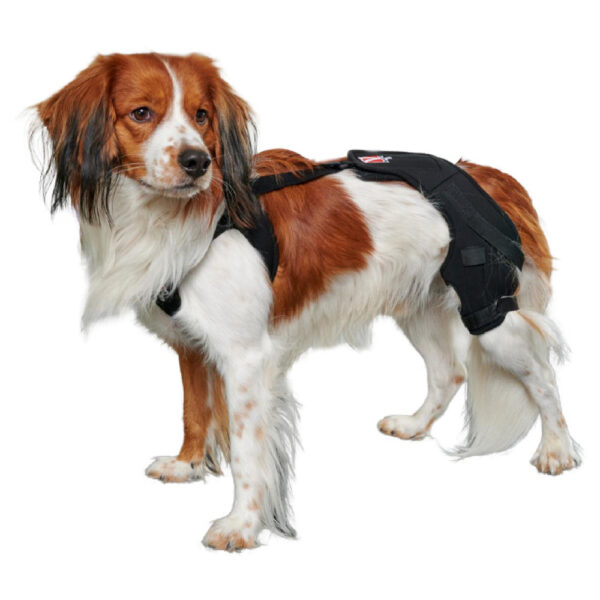 KRUUSE Rehab Pro Knee Protector Provet Australia