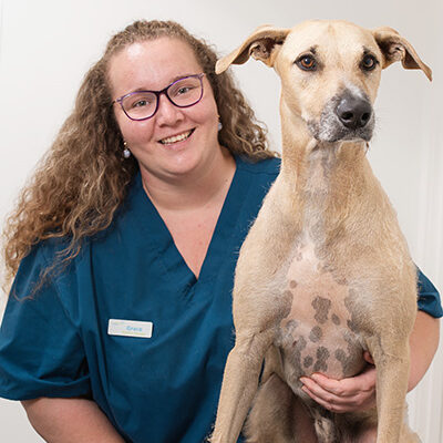 Welcome to Provet Australia 7