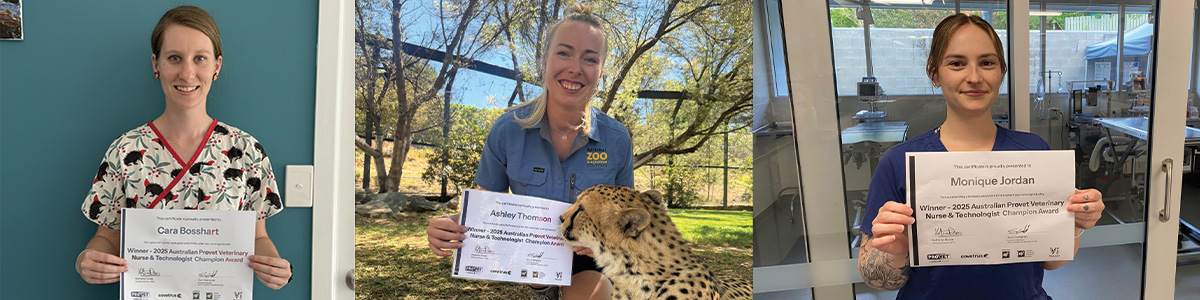 2025 Provet Veterinary Nurse & Technologist Champion Award Winners! 1