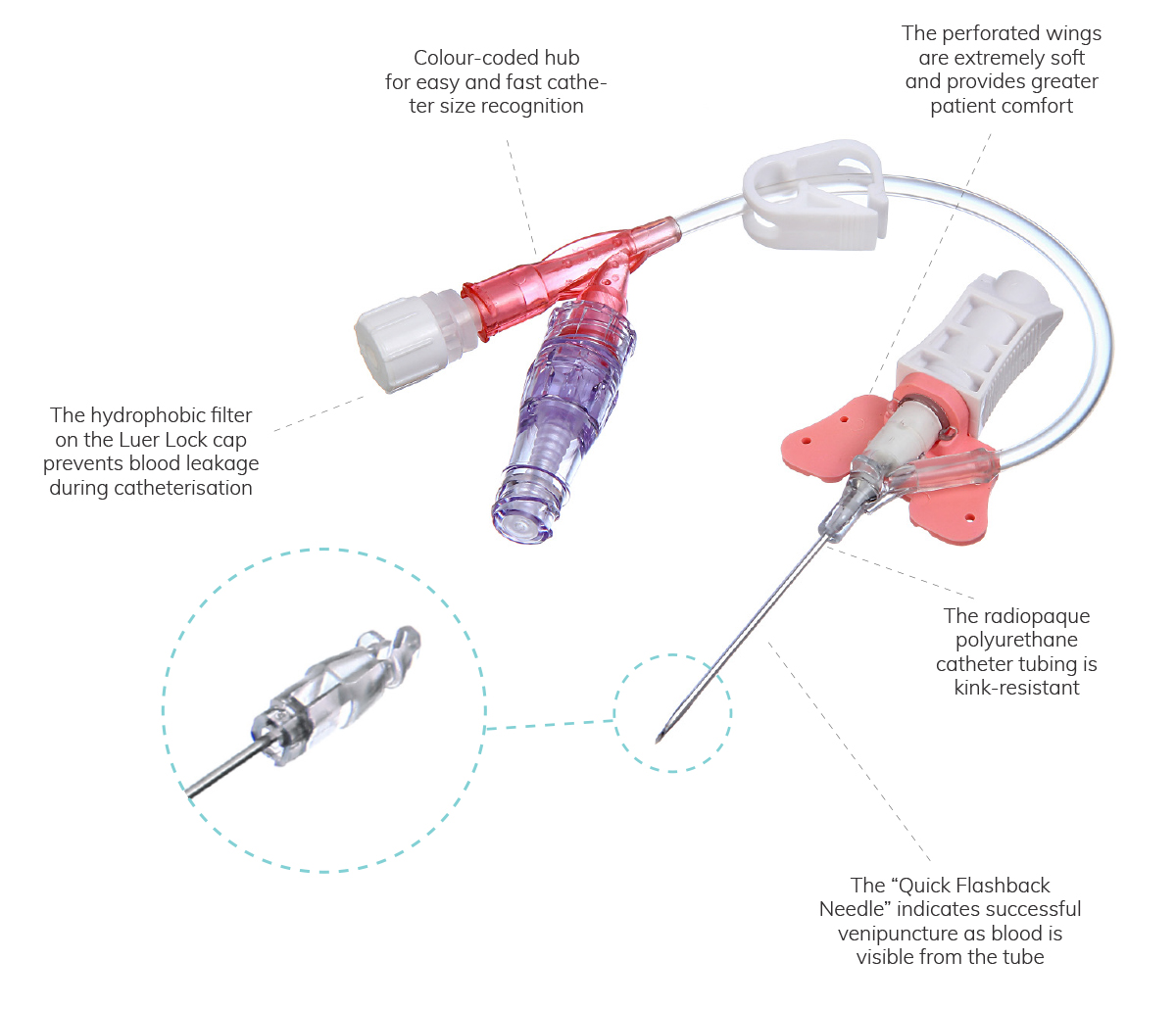 KRUUSE SafeVet Combi Set 1