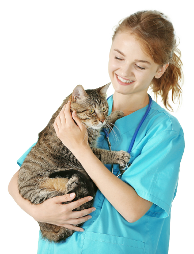 Provet Veterinary Nurse & Technologist Champion Awards 2025 1